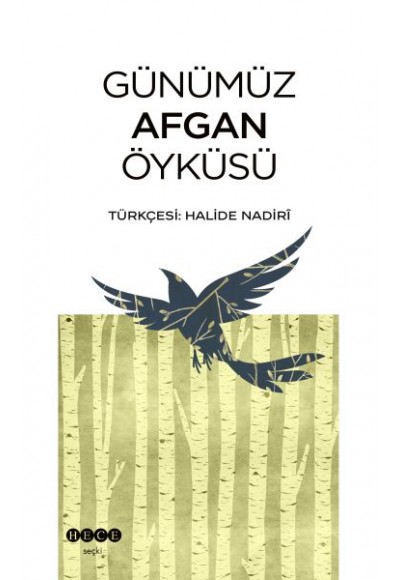 Günümüz Afgan Öyküsü