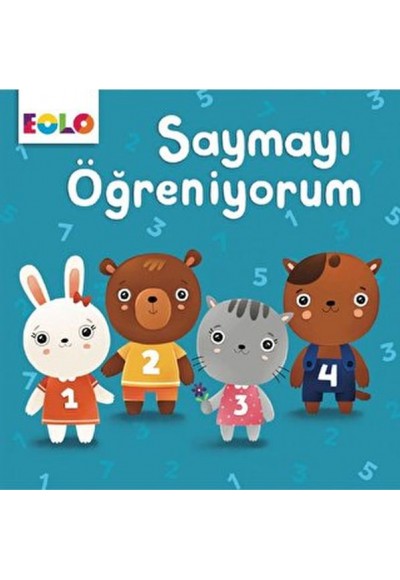 Karton Kitaplar-Saymayı Öğreniyorum