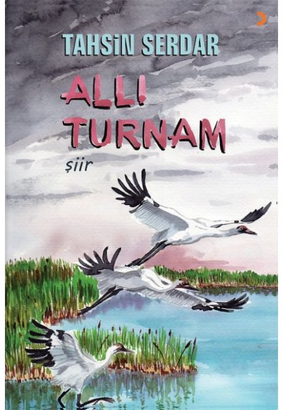 Allı Turnam