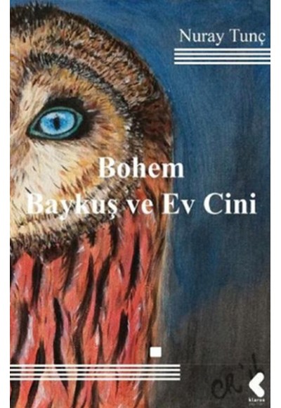 Bohem Baykuş ve Ev Cini