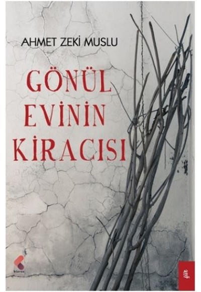 Gönül Evinin Kiracısı