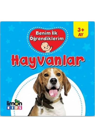 Benim İlk Öğrendiklerim - Hayvanlar