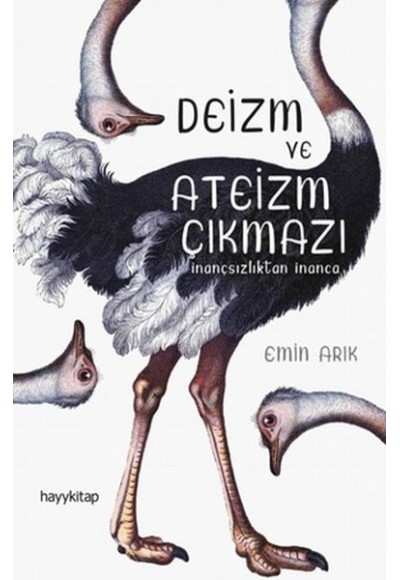 Deizm ve Ateizm Çıkmazı - Herkes İçin Tasavvuf  66