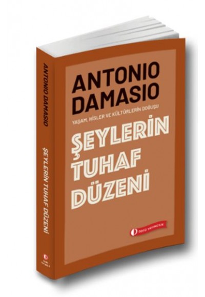 Şeylerin Tuhaf Düzeni