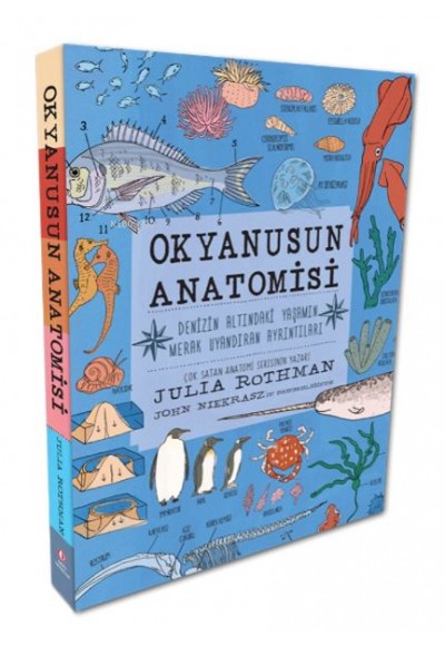 Okyanusun Anatomisi