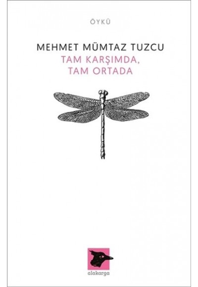 Tam Karşımda, Tam Ortada