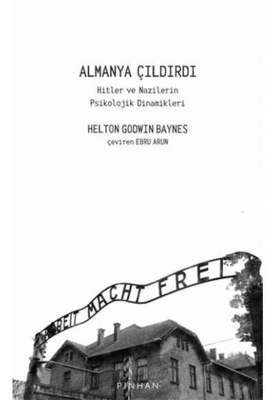 Almanya Çıldırdı