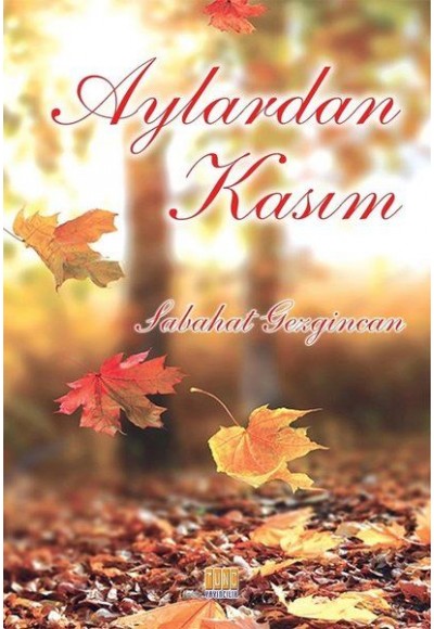 Aylardan Kasım