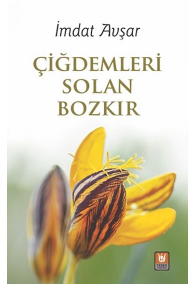 Çiğdemleri Solan Bozkır