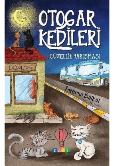 Güzellik Yarışması - Otogar Kedileri 1