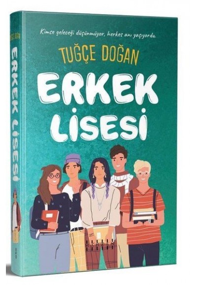 Erkek Lisesi