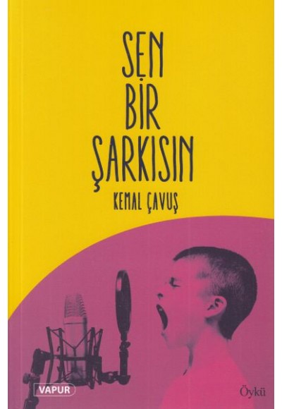 Sen Bir Şarkısın