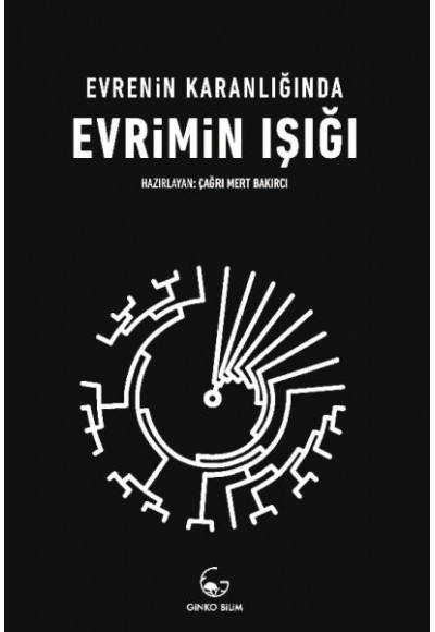 Evrenin Karanlığında Evrimin Işığı