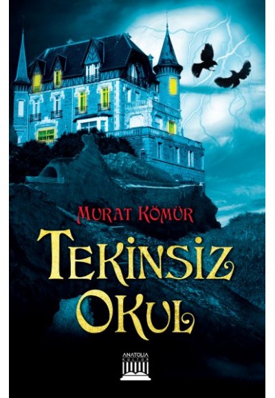 Tekinsiz Okul