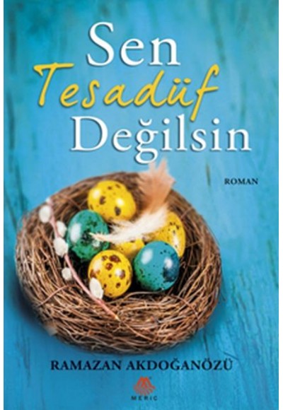 Sen Tesadüf Değilsin