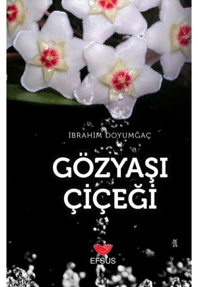 Gözyaşı Çiçeği