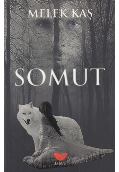Somut