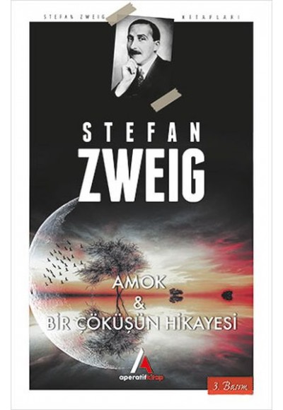 Amok ve Bir Çöküşün Hikayesi