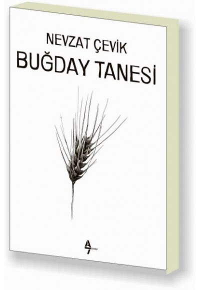 Buğday Tanesi