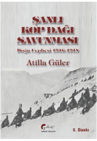 Şanlı Kop Dağı Savunması, Doğu Cephesi, 1916-1918