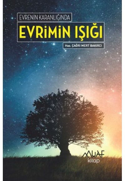 Evrenin Karanlığında Evrimin Işığı