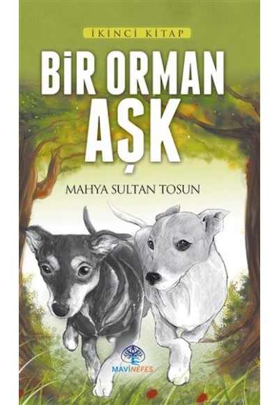 Bir Orman Aşk