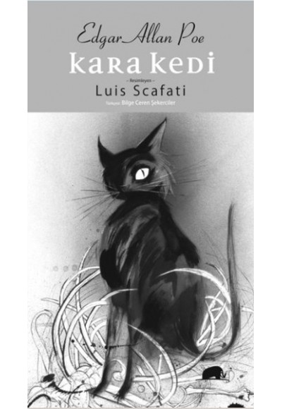 Kara Kedi