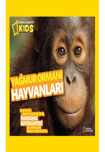 National Geographic Kids -Yağmur Ormanı Hayvanları