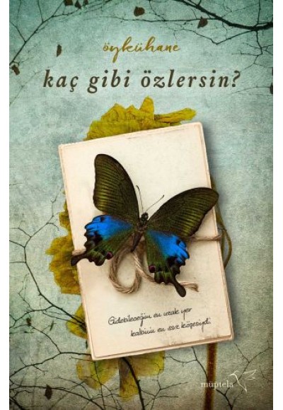 Kaç Gibi Özlersin?