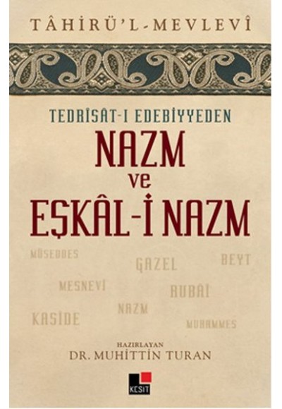 Tedrisat-ı Edebiyyeden Nazm ve Eşkal-i Nazm