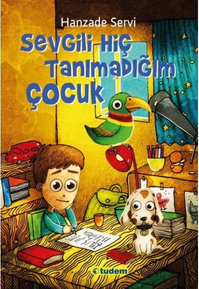 Sevgili Hiç Tanımadığım Çocuk