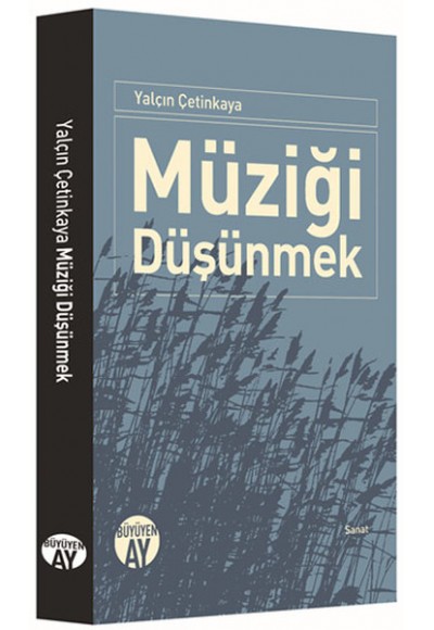 Müziği Düşünmek