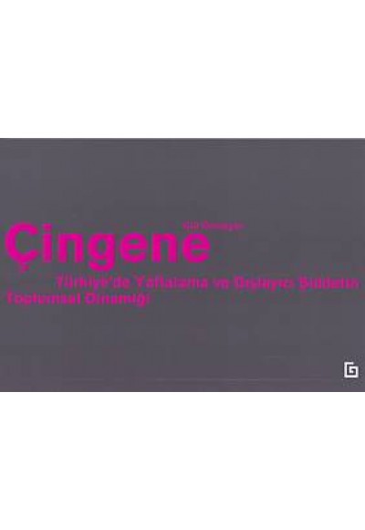 Çingene - Türkiyede Yaftalama ve Dışlayıcı Şiddetin Toplumsal Dinamiği