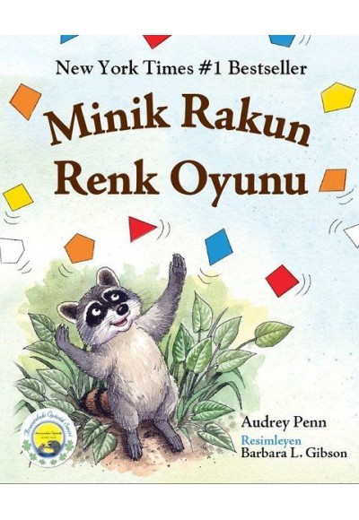 Minik Rakun Renk Oyunu