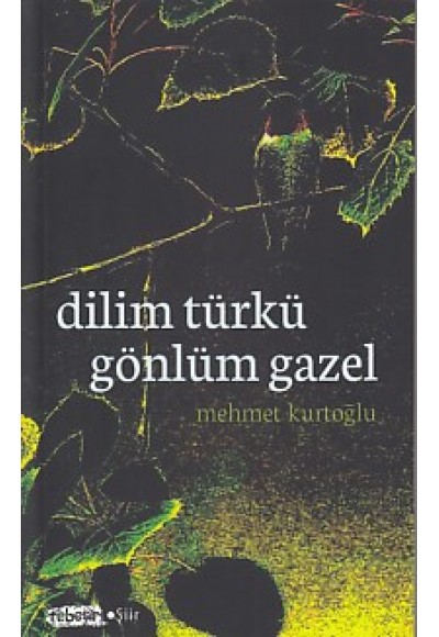 Dilim Türkü Gönlüm Gazel