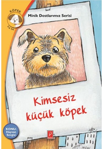 Minik Dostlarımız Serisi - Kimsesiz Küçük Köpek
