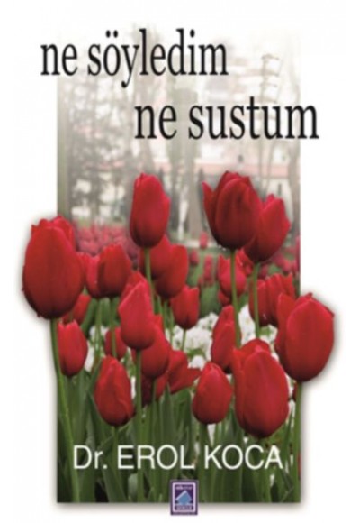 Ne Söyledim Ne Sustum
