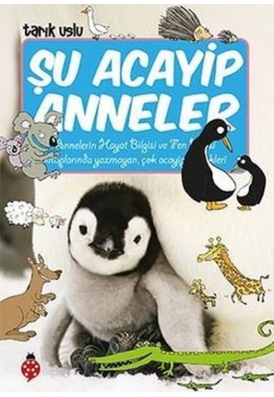 Şu Acayip Anneler