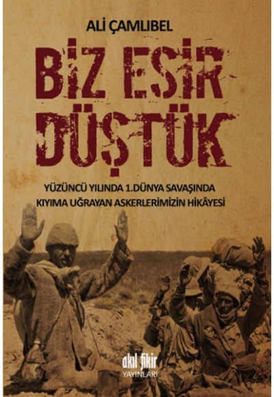 Biz Esir Düştük