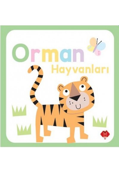 Dokun Hisset - Orman Hayvanları