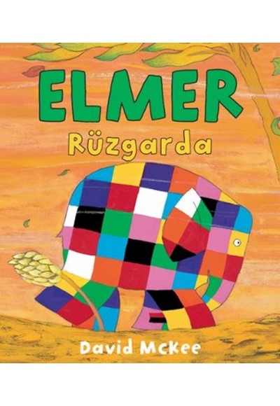 Elmer Rüzgarda