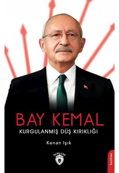 Bay Kemal Kurgulanmış Düş Kırıklığı