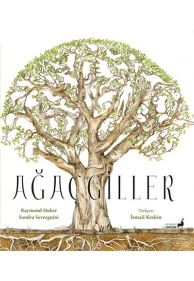 Ağaçgiller