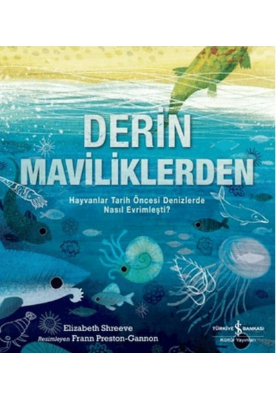 Derin Maviliklerden