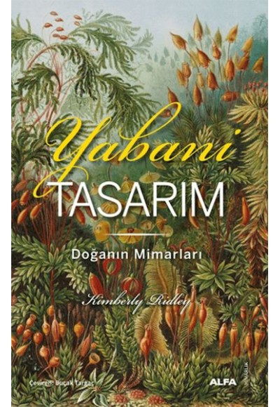 Yabani Tasarım