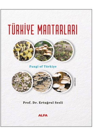 Türkiye Mantarları (Ciltli)