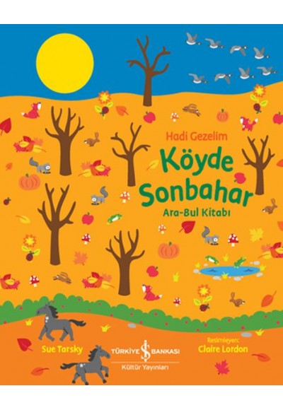 Köyde Sonbahar Ara-Bul Kitabı - Hadi Gezelim