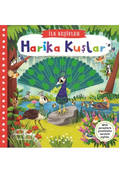 Hareketli Harika Kuşlar - İlk Keşifler