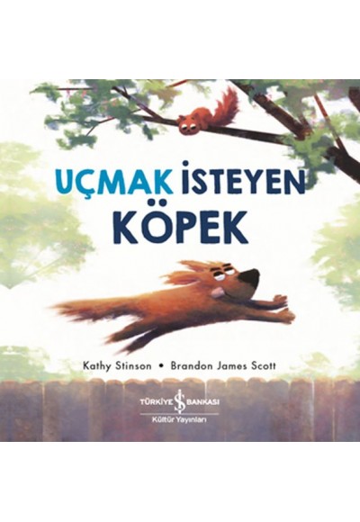 Uçmak İsteyen Köpek
