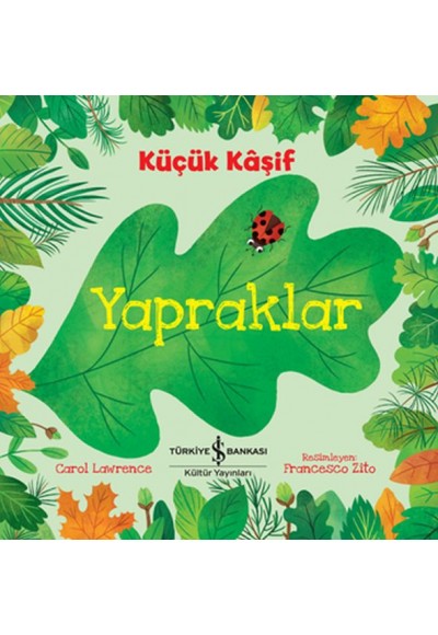 Küçük Kaşif - Yapraklar